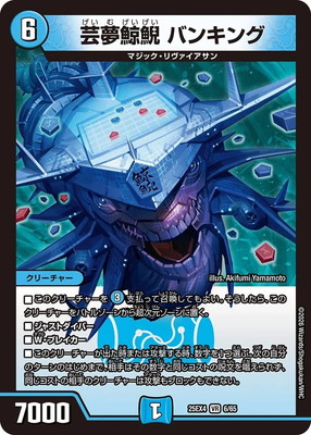 DM25-EX4/6/VR/��̴���� �Х󥭥�