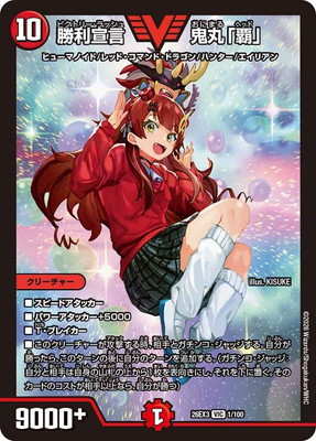 DM26-EX3/1/VIC/������� ���ݡ��ơ�