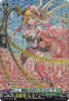 D-BT01/SP24����ڥ�β��� ���졼�˥���SP