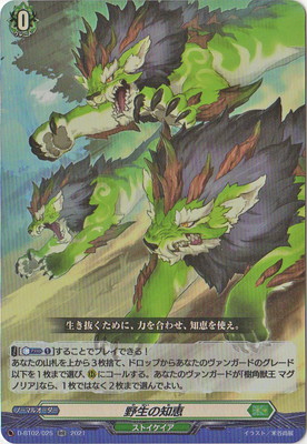 D-BT02/025���������ηá�RR