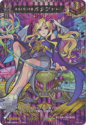 D-TB02/MSR24⤿餹 륷եMSR