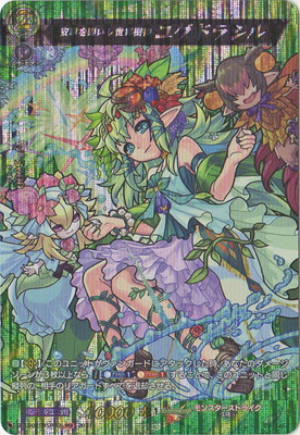 D-TB02/MSR32ǫꤤ 楰ɥ饷롡MSR