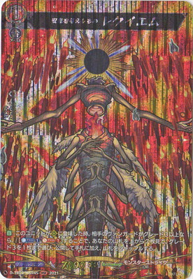 D-TB02/MSR45©Ϳ 쥯ࡡMSR