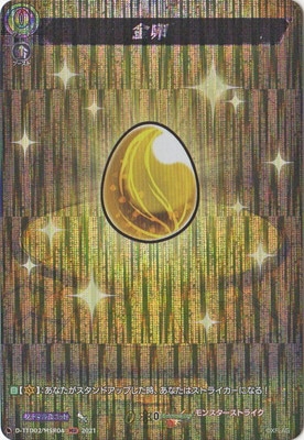 D-TTD02/MSR04������MSR