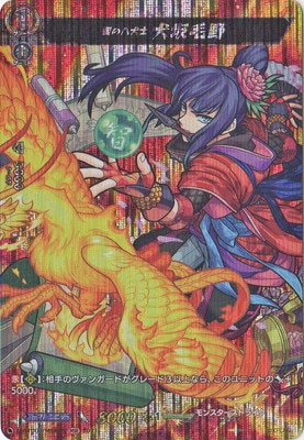 D-TTD02/MSR05���Ҥ�Ȭ���� �������MSR