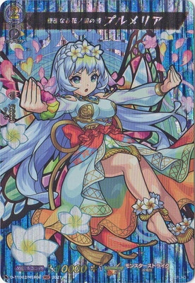 D-TTD02/MSR06��ͥ���ʤ�֥ι���� �ץ��ꥢ��MSR