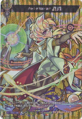 D-TTD02/MSR08�����������㿿����� ���MSR