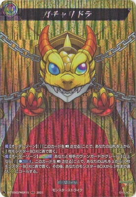 D-TTD02/MSR15���������ɥ顡MSR