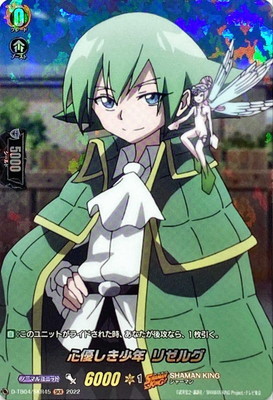 D-TB04/SKR45����ͥ������ǯ �ꥼ�륰��SKR