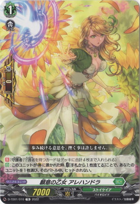 D-TD01/010դβ ϥɥ顡TD