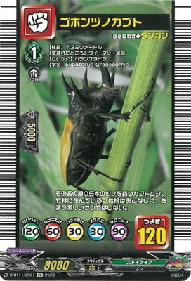 D-BT11/EX07�����ۥ�ťΥ��֥ȡ�EX