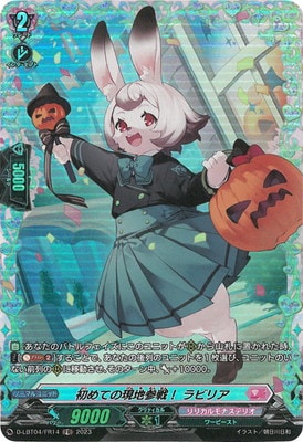 D-LBT04/FR14�����Ƥθ��ϻ�� ��ӥꥢ��FR