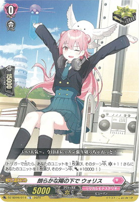 DZ-SD06/014ϯ餫ۤβ ꥹTD