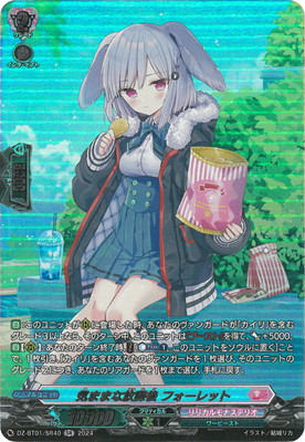 DZ-BT01/SR40�����ޤޤ����ݸ� �ե�����åȡ�SR