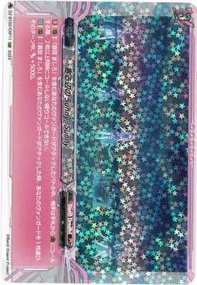 DZ-BT02/EXP11դSunny, SunnyEXP