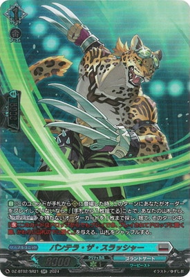 DZ-BT02/SR21���ѥ�ƥ顦��������å��㡼��SR