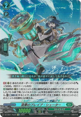 DZ-SS01/Re30��ή��Υ֥쥤�֡����塼������Re