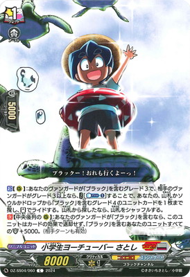 DZ-SS04/060���������衼���塼�С� ���Ȥ���C