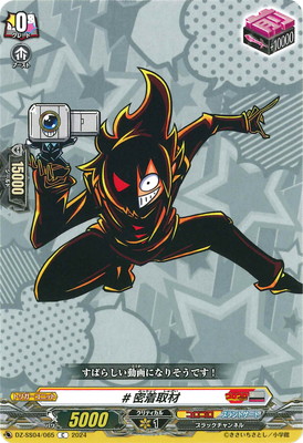 DZ-SS04/065��#̩���ࡡC