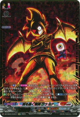 DZ-SS04/GCR17���Ǥ�˽������ �֥�å���GCR
