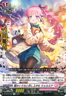 DZ-BT07/094Ȥ˾夬 ߥR