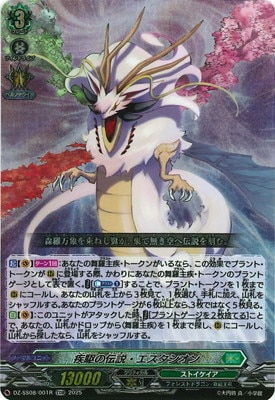 DZ-SS08/001R����������⡦������������TDR