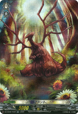 DZ-SS08/T02R���ץ��ȡ�TDR