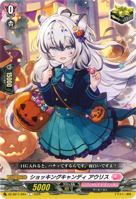 DZ-SS11/054å󥰥ǥ ꥹC