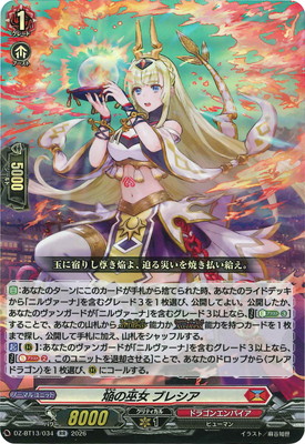 DZ-BT13/034�������� �֥쥷����RR