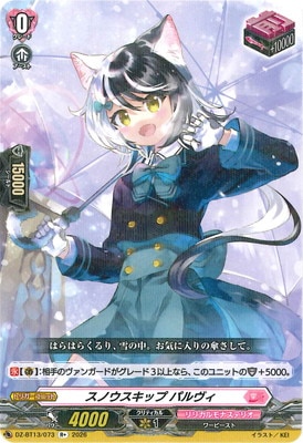 DZ-BT13/073�����Υ������å� �ѥ������R+