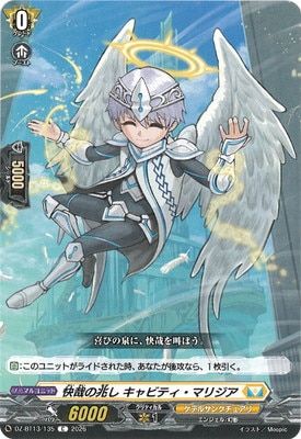 DZ-BT13/135�����Ȥ����� ����ӥƥ����ޥꥸ����C