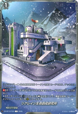 DZ-BT13/T03���ꥰ�쥤����̿��������ꡡT