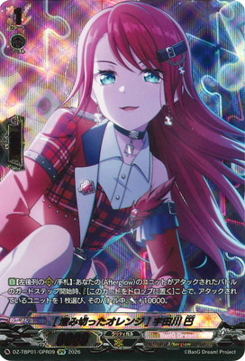 DZ-TBP01/GPR09��[�����ڤä������] ������ �á�GPR