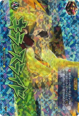 DZ-SS17/014R�����顼���饤�ɡ�TDR