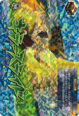 �ڥ����ʰ¡�DZ-SS18/014R�����顼���饤�ɡ�TDR