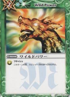 BS01-133 �磻��ɥѥ��2008��
