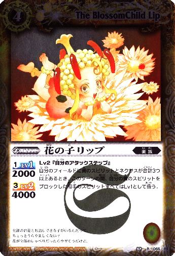 BS02-065 �֤λҥ�å� R��2008��