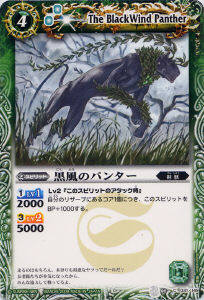 BS03-031 �����Υѥ󥿡���2009��