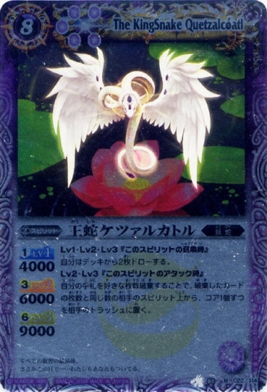 BS04-022 ���إ��ĥ��륫�ȥ� M��2009��