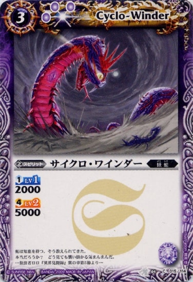 BS04-015 �����������磻�������2009��