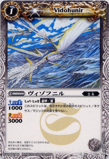 BS04-034 �������ե˥��2009��