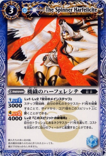 BS04-065 �����Υϡ��ե��쥷�ơ�2009��