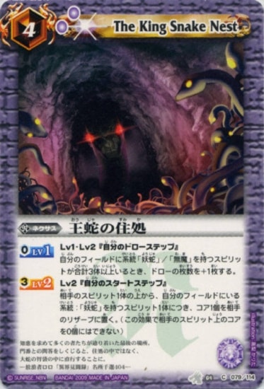 BS04-079 ���ؤν����2009��