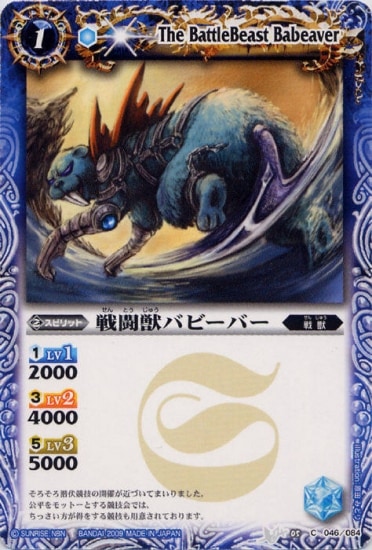 BS05-046 ƮåХӡС2009