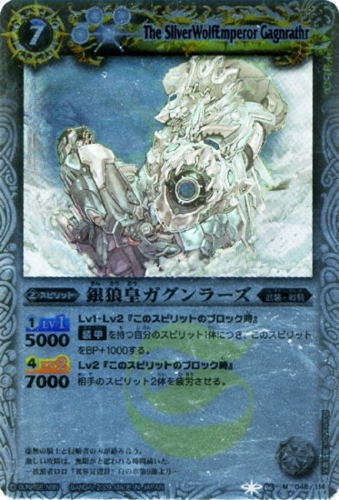 BS06-048 ϵĥ顼 M2009