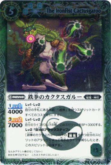 BS06-034 Ŵ���Υ����������롼 R��2009��