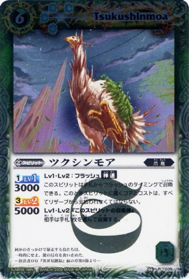 BS06-035 �ĥ�����⥢ R��2009��