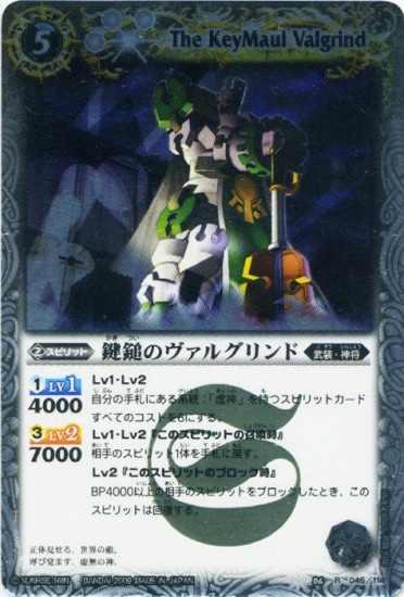 BS06-046 ���ʤΥ����륰���� R��2009��