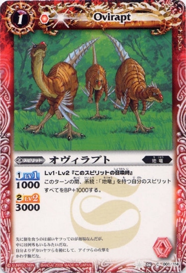 BS06-001 ��������ץȡ�2009��