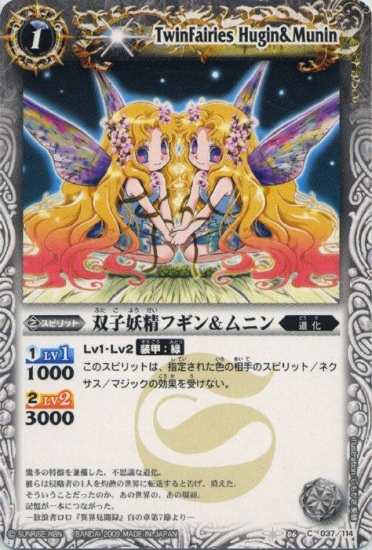 BS06-037 �л������ե������˥��2009��